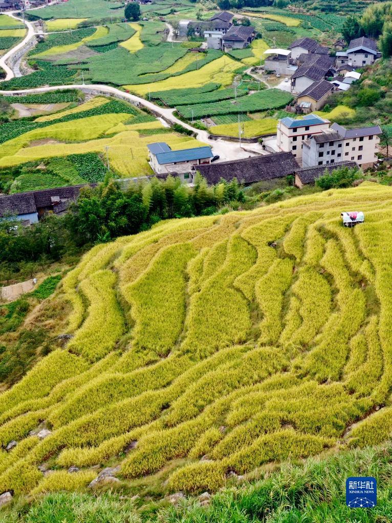博悦平台首页